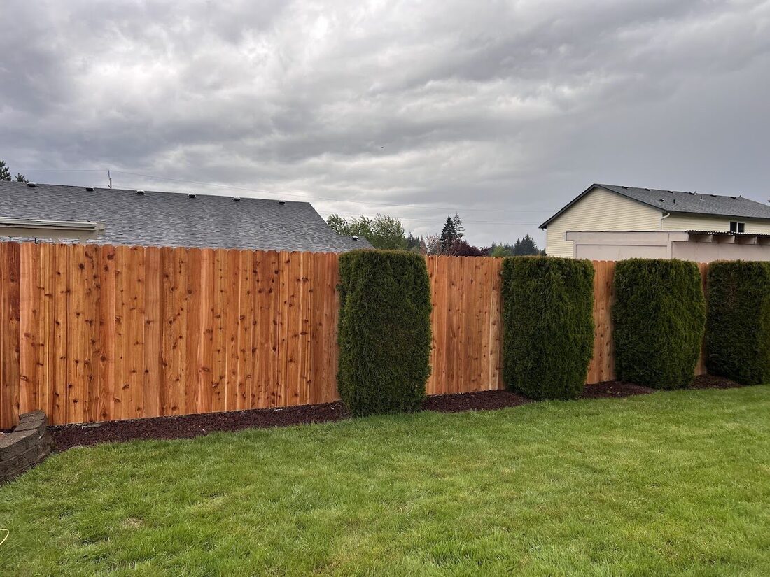 Custom cedar fence installed in a residential backyard