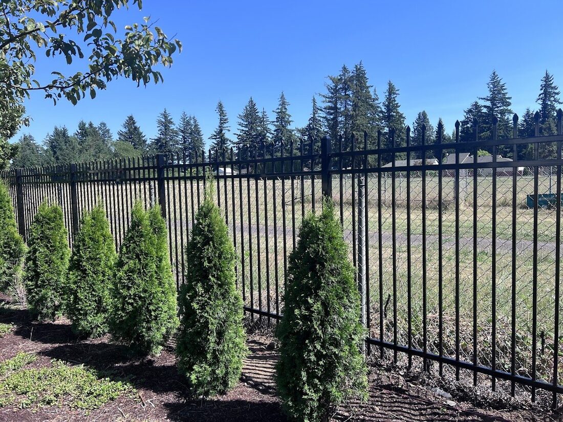 Black fence installed around a residential property